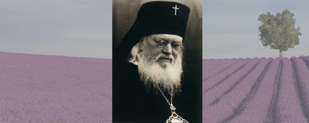 Полезные свойства вишни