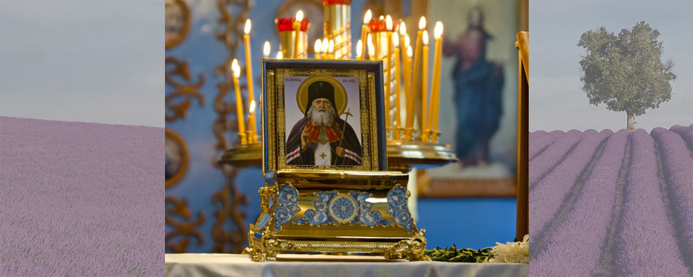 Баклажанные рулетики