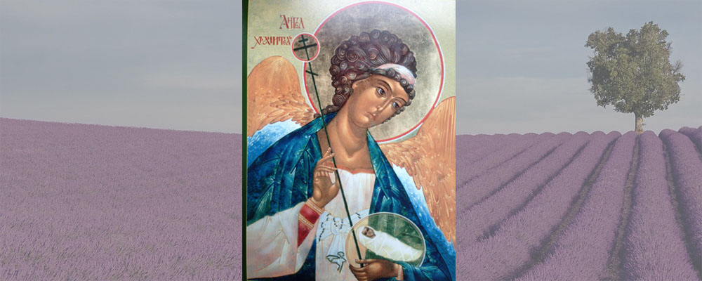 Полезные свойства эстрагона (тархун)