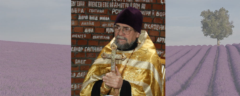 Полезные свойства ежевики