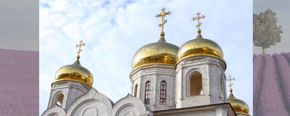 Целебные свойства козьего молока